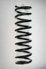 SPIDAN 55110 Coil Spring